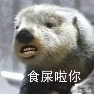 SEO搜索引擎优化—被严重低估网络营销核心技能